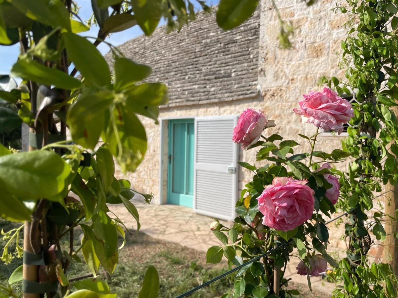 Giardino Dei Trulli Cummerse Faccia di Trippa di Monte Экстерьер фото